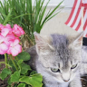 Meet your Posher, Clara